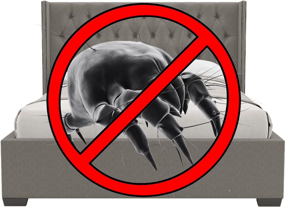 Allerzip BED KIT Protector Anti Allergy Fully Encased Dust Mites